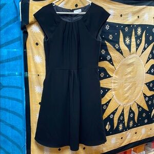 Calvin Klein petite/small Pleated Dress